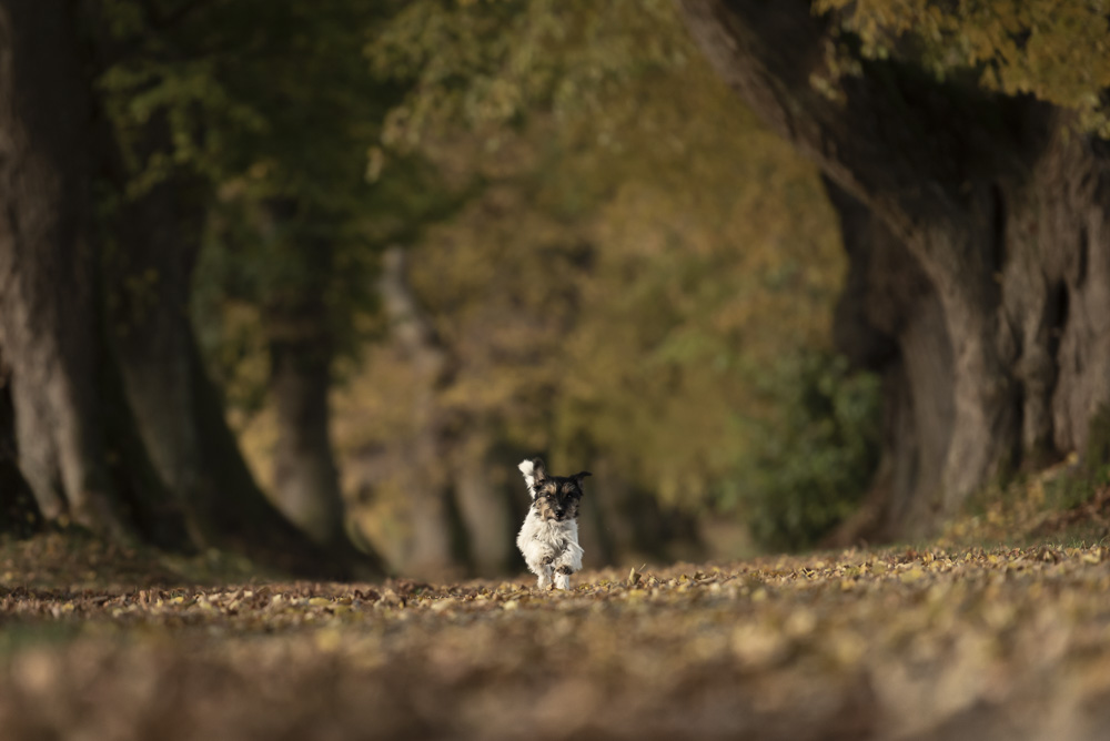 Platz 9 Karoline Thalhofer